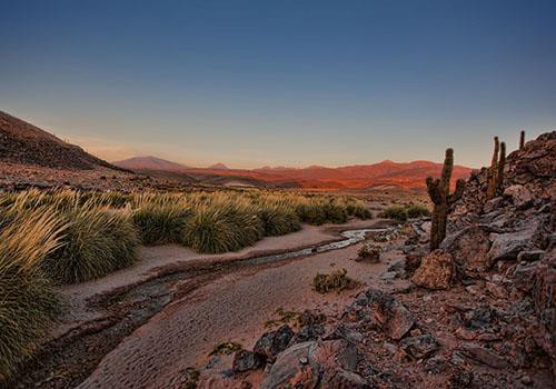 גרמניה של KFW כספים 123 MW צ 'ילה הפרויקט נבחר בשנת 2016 במכירה פומבית